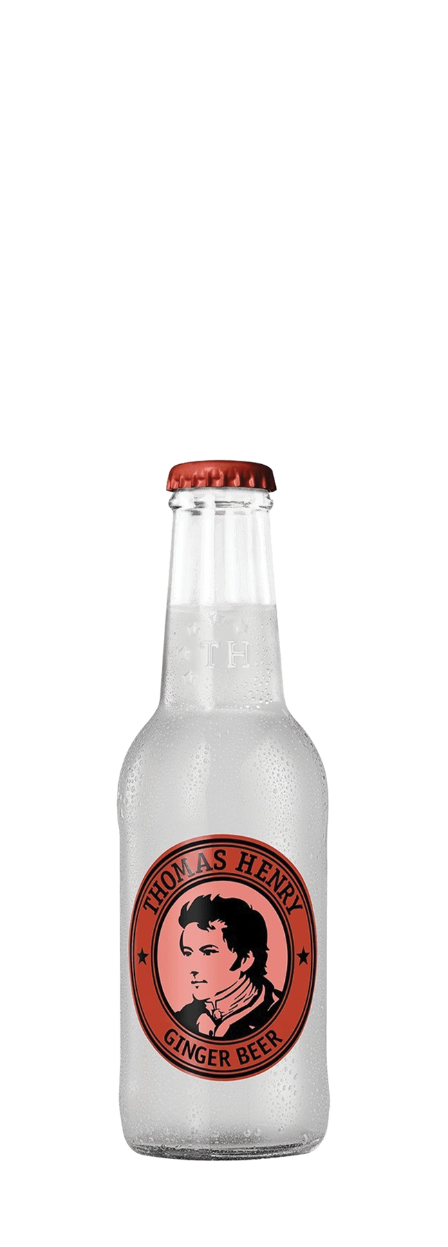 Spicy Ginger Beer 480cl